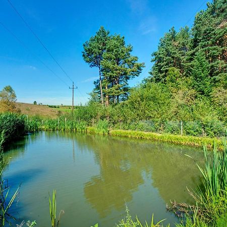 Zajazd Pod Sosnami Berezka Exterior foto